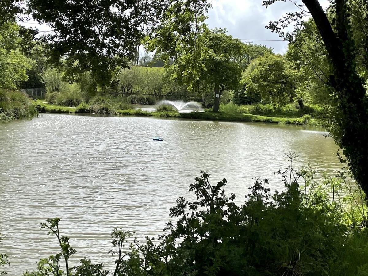 Luxury Caravan Cornwall Sleeps 4 Countryside View เซนต์ออสเทลล์ ภายนอก รูปภาพ